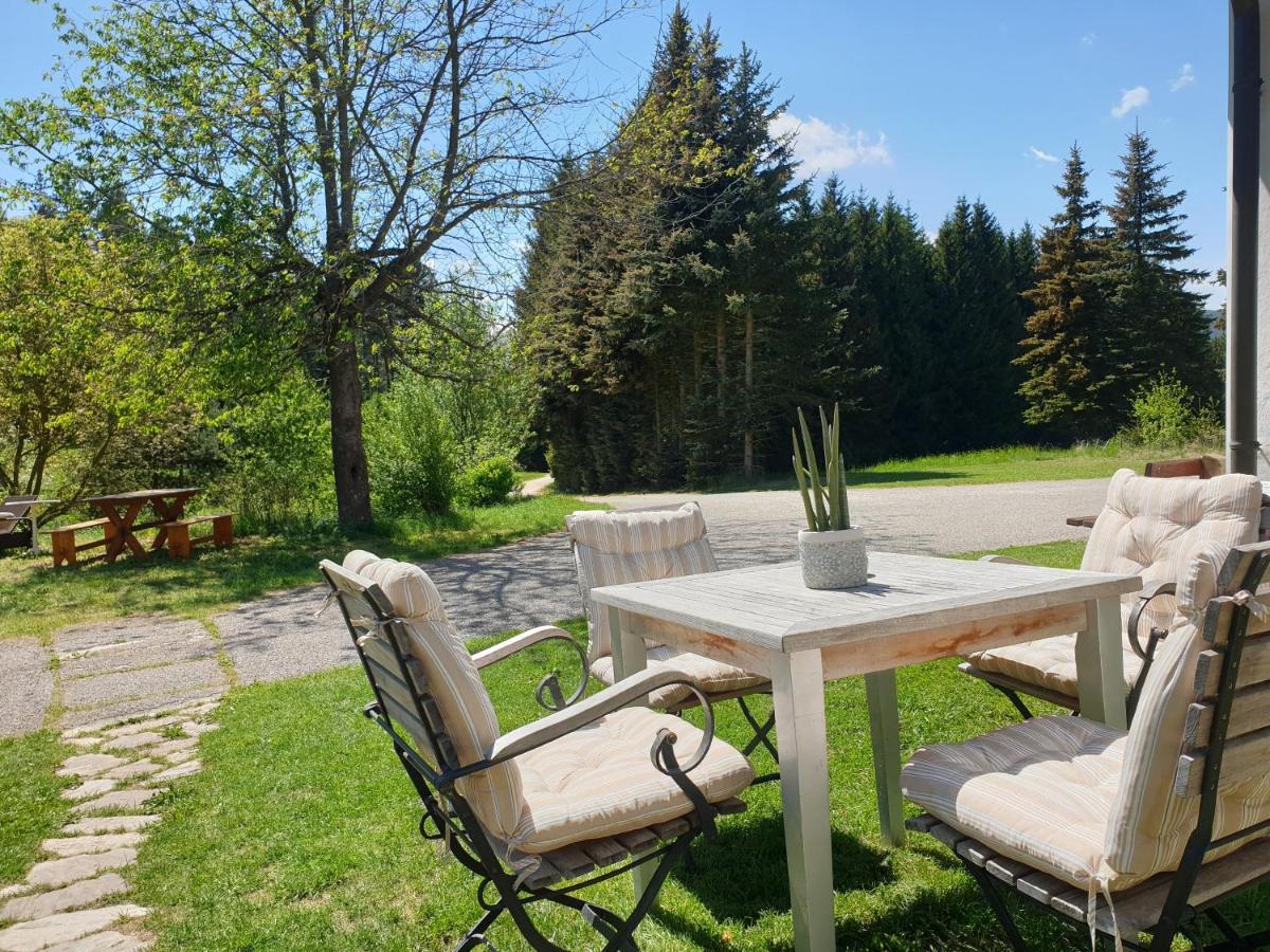 Die Alm In Schoellbuechl, Privatzimmer Sankt Martin  Dış mekan fotoğraf