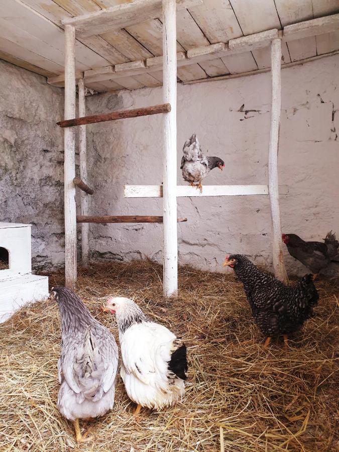 Die Alm In Schoellbuechl, Privatzimmer Sankt Martin  Dış mekan fotoğraf