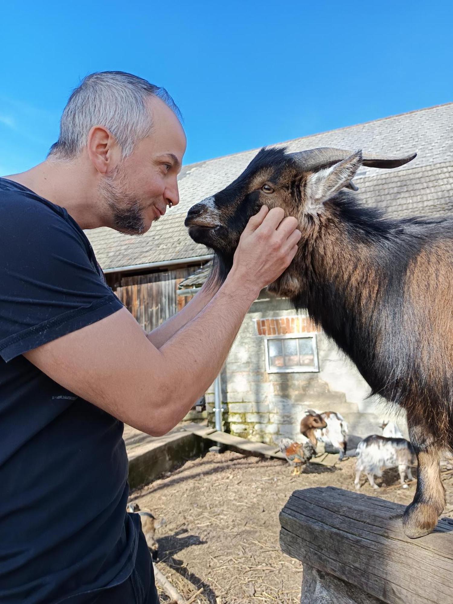 Die Alm In Schoellbuechl, Privatzimmer Sankt Martin  Dış mekan fotoğraf
