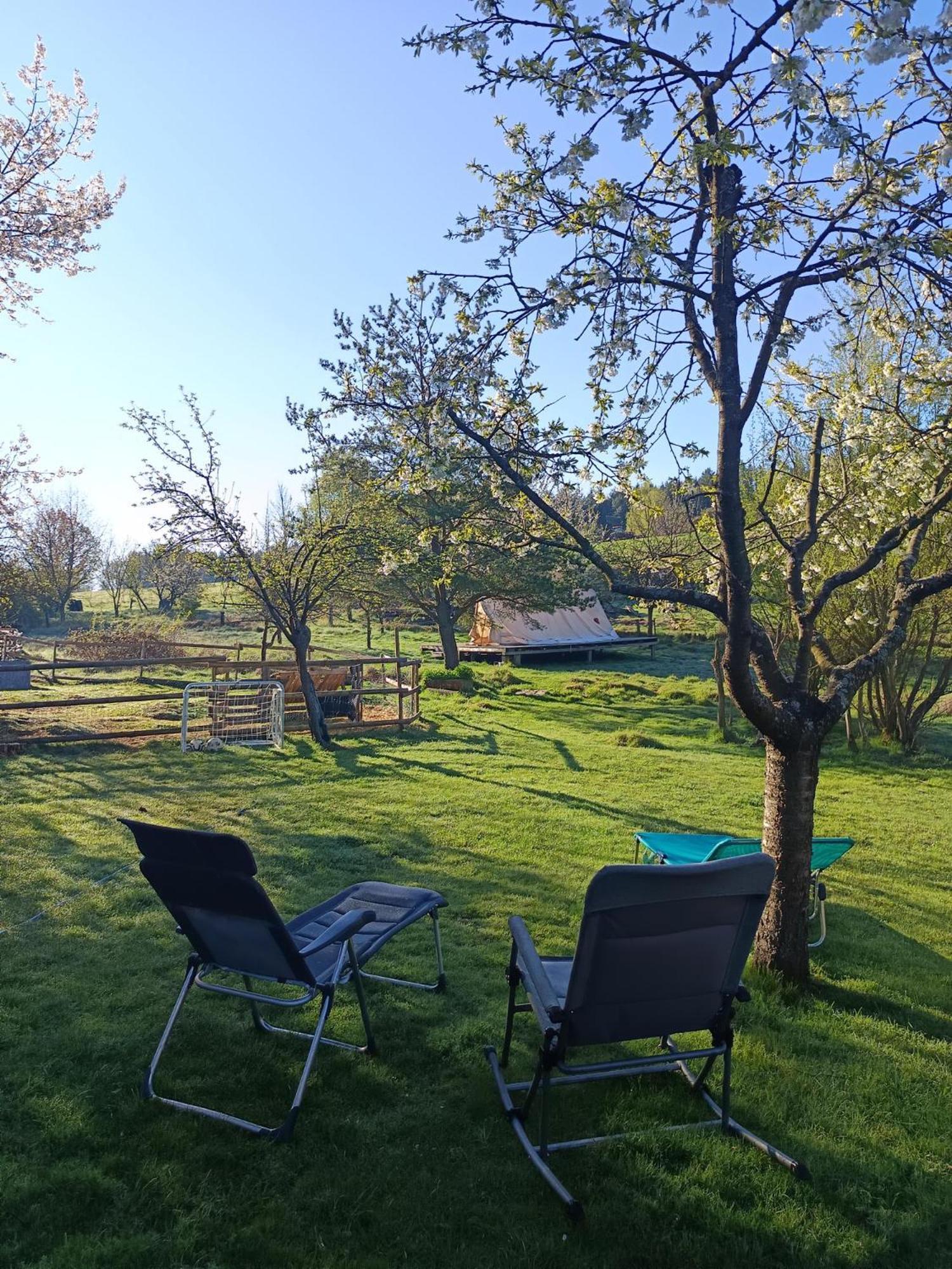 Die Alm In Schoellbuechl, Privatzimmer Sankt Martin  Dış mekan fotoğraf